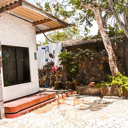 Galapagos Dove Hotel Puerto Ayora  Eksteriør billede