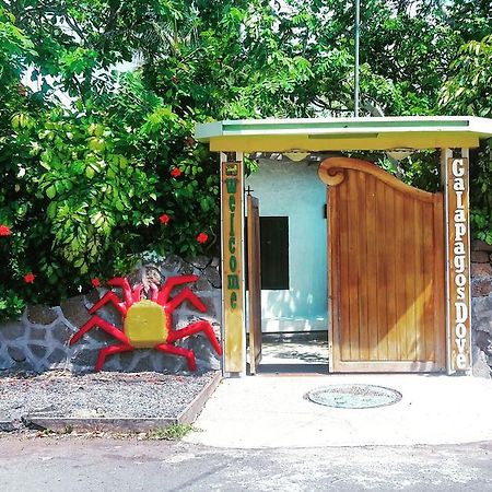 Galapagos Dove Hotel Puerto Ayora  Eksteriør billede