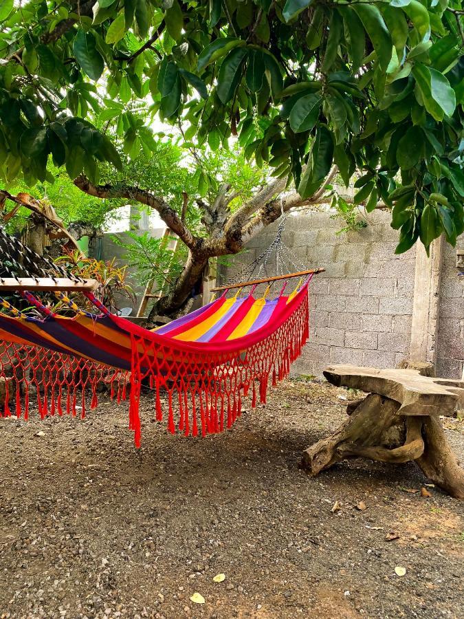 Galapagos Dove Hotel Puerto Ayora  Eksteriør billede