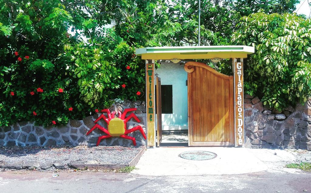 Galapagos Dove Hotel Puerto Ayora  Eksteriør billede